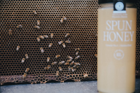 Bulk Raw Honey-15lbs